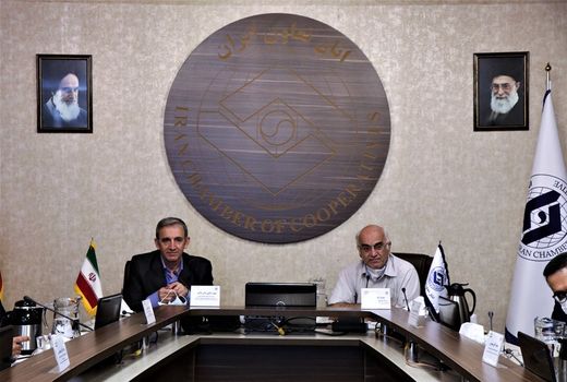 وزارت جهاد کشاورزی در واگذاری تصدی‌گری‌ها به تشکل‌ها جدی است