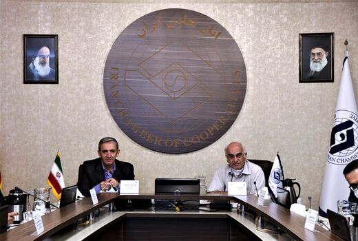 وزارت جهاد کشاورزی در واگذاری تصدی‌گری‌ها به تشکل‌ها جدی است