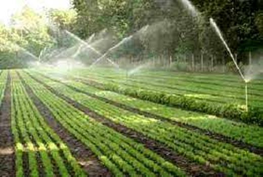 بسته های تشویقی؛ راهکار توسعه آبیاری نوین