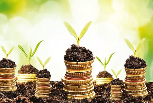 پرداخت بالغ‌بر ۱۳۴ میلیارد تومان تسهیلات بهره‌برداران بخش کشاورزی