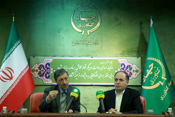 طرحهای جهش تولید کشاورزی تقویت شدهاند/ حمایت از تولید برنج و گوشت در اولویت