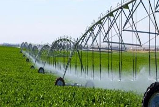 ۲۰ هزار میلیارد ریال برای توسعه کشاورزی ایلام هزینه شد