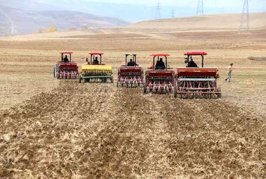 یکجا زراعی راهکار اصلی توسعه کشاورزی پایدار در دیمزارها است