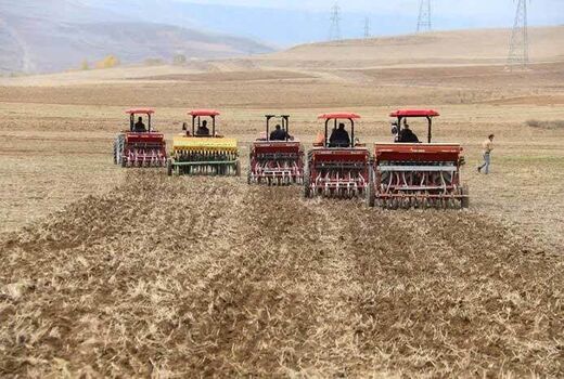 یکجا زراعی راهکار اصلی توسعه کشاورزی پایدار در دیمزارها است