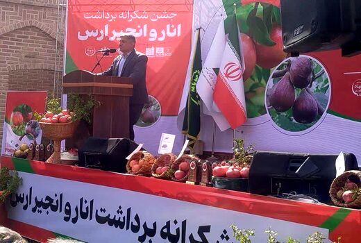 جشن شکرانه برداشت انار و انجیر ارس برگزار شد