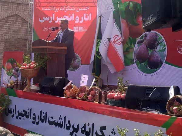 جشن شکرانه برداشت انار و انجیر ارس برگزار شد