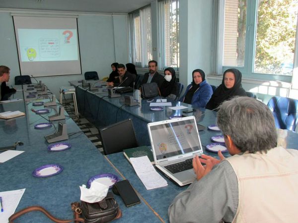 کارشناسان فنی شهرستان قزوین با مدیریت مزارع کلزا آشنا شدند