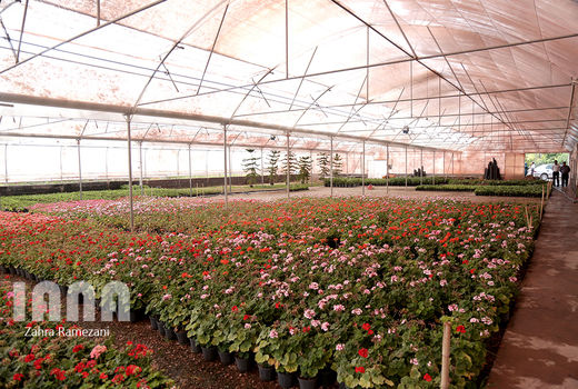 خطوط باربری هوایی کم و ترانشیپ مانع صادرات است