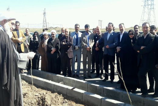 همزمان با هفته منابع طبیعی کاشت نهال در استان  قزوین آغاز شد