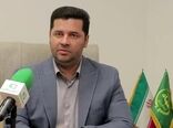 تولید بیش از 240 هزار تن پسته در سال جاری