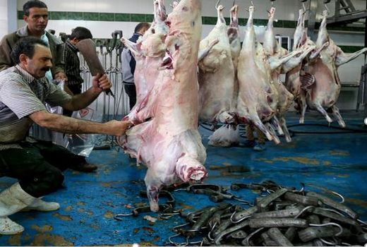 ضرورت تکمیل زنجیره برای جهش تولید در بخش دامپروری خراسان شمالی