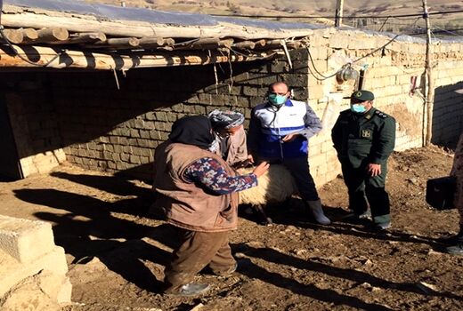  ارائه خدمات بهداشتی درمانی رایگان دامپزشکی در آذربایجان غربی به مناسبت هفته بسیج