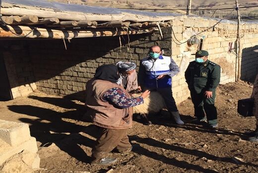  ارائه خدمات بهداشتی درمانی رایگان دامپزشکی در آذربایجان غربی به مناسبت هفته بسیج