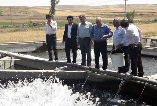 شهرستان ورزقان در مسیر توسعه و رونق تولید آبزی پروری قرار دارد