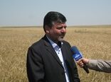 خرید تضمینی ٨٨۵ هزار ۵۰۰ تن گندم و کلزا از کشاورزان گلستانی
