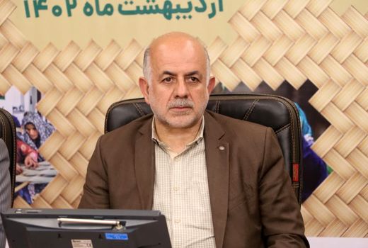 زنان تسهیل گر روستایی برای تحقق شعار سال فکر و ایده‌های تازه‌ای دارند