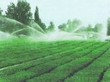 بهره‌برداری از پروژه سیستم آبیاری نوین در دامنکوه روستای نعیم آباد