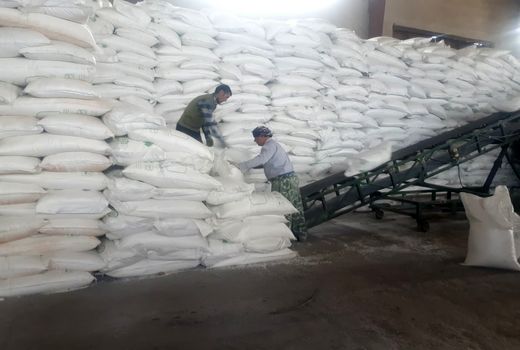 تامین و توزیع حدود 3900 تن انواع کودهای شیمیایی در سه شهرستان