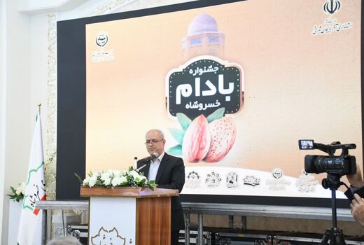 ثبت محصول بادام به نام خسروشاه، گامی برای رونق اقتصاد محلی و حفظ هویت تولید منطقه است