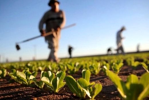 آغاز طرح تشدید نظارت بر بازار محصولات کشاورزی ویژه شب یلدا در آذربایجان غربی