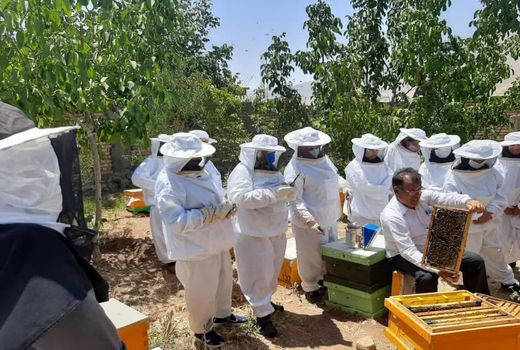 برگزاری دوره آموزشی استحصال ژل رویال و فرآورده های جانبی زنبور عسل