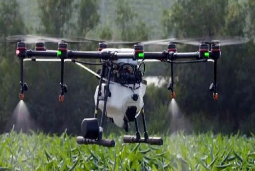 مبارزه با آفت سن گندم توسط پهپاد در شهرستان ری