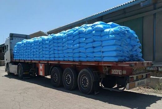 آغاز واریز یارانه نقدی کودهای فسفاته و پتاسه به حساب کشاورزان استان تهران