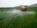 نیاز ۷ میلیارد تومانی برای مبارزه با آفات غلات کشت شده در خراسان شمالی