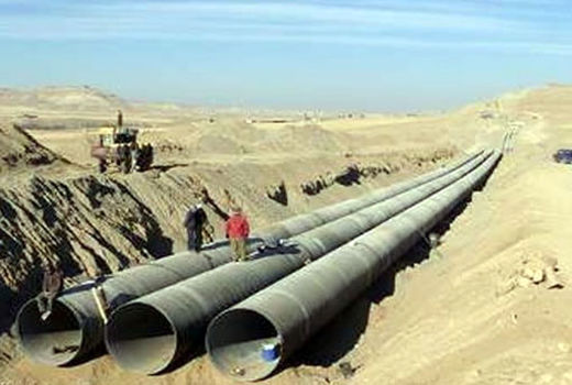 نیاز گندم کل استان تنها از دشت تبریز برداشت می‌شود