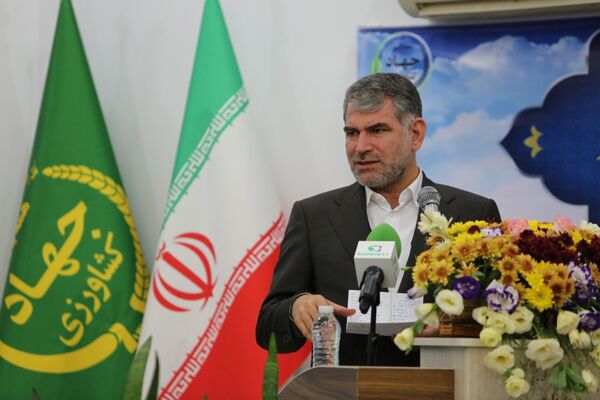  راه‌اندازی سامانه "ستکاوا" برای عرضه عمده مرغ  گرم از هفته آینده