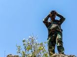 اگر امروز هنوز جنگلی در شمال، کوهی در غرب و مرتعی در شرق نفس می‌کشد، به‌واسطه ایستادگی جنگلبانان است