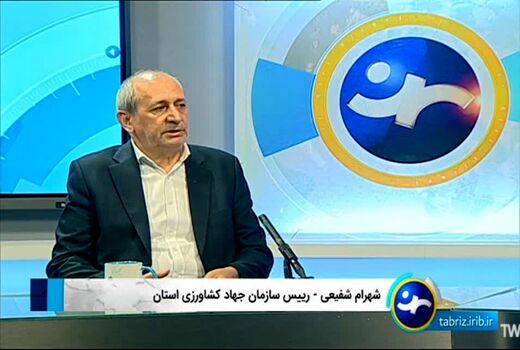 جهش بیمه کشاورزی در آذربایجان شرقی/ سطح پوشش اراضی زراعی از ۲۲۵ هزار به بیش از ۶۰۰ هزار هکتار رسید