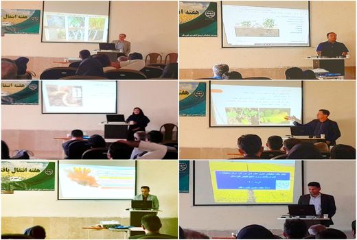 انتقال آخرین یافته های کلزا به کارشناسان و کشاورزان خوزستانی