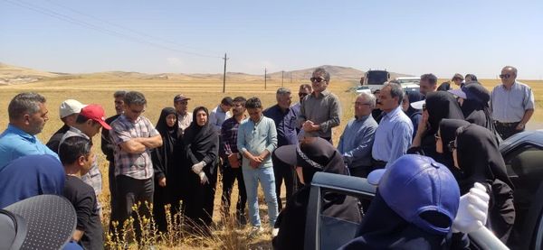 بازدید مشترک زنجان و آذربایجان شرقی برای توسعه کشت گیاهان دارویی