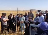 بازدید مشترک زنجان و آذربایجان شرقی برای توسعه کشت گیاهان دارویی