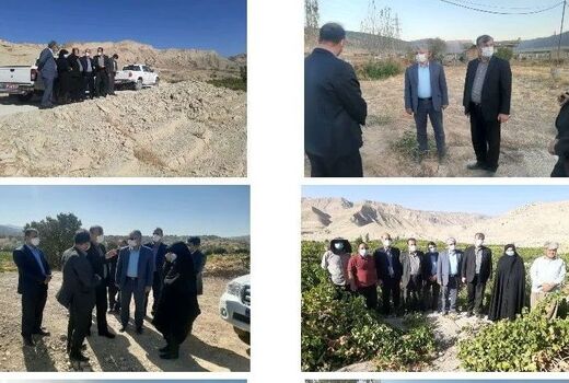بازدید معاون باغبانی وزیر جهاد کشاورزی از سایت های باغبانی شهرستان ایوان