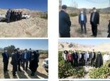 بازدید معاون باغبانی وزیر جهاد کشاورزی از سایت های باغبانی شهرستان ایوان