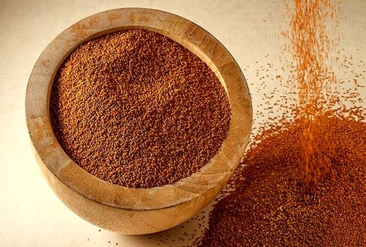 کشت خاکشیر برای اولین بار در فراشبند