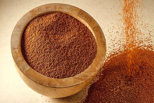 کشت خاکشیر برای اولین بار در فراشبند