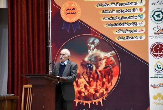 وجود بیش از یک میلیون کندوی مدرن و بومی در آذربایجان شرقی