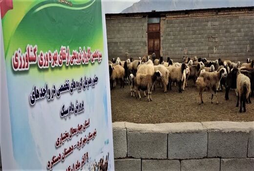 آغاز به کار اولین کاروان ترویجی ارتقای بهره وری کشاورزی ویژه دام سبک در استان چهارمحال و بختیاری
