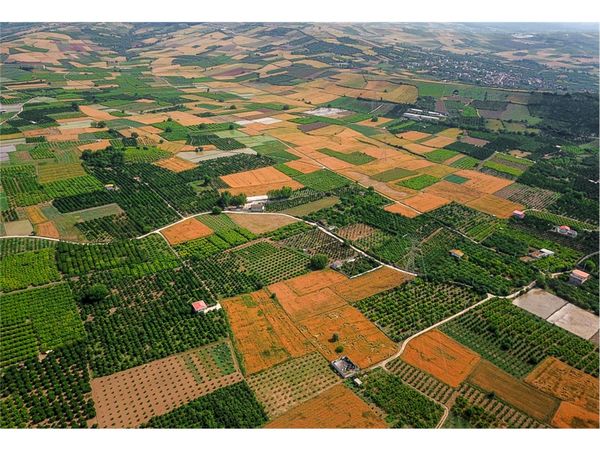 41 درصد تولیدات کشاورزی مازندران مربوط به بخش زراعت است