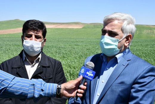 خرید 1.4 میلیون تن گندم مازاد بر نیاز کشاورزان در کشور