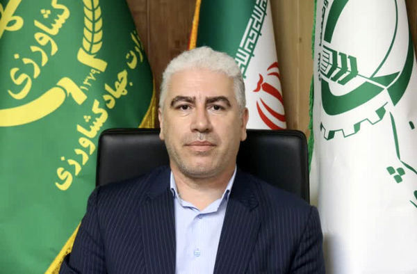 وجود تغییر کاربری غیر مجاز در اراضی کشاورزی مانع صدور سند نیست