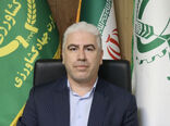 وجود تغییر کاربری غیر مجاز در اراضی کشاورزی مانع صدور سند نیست