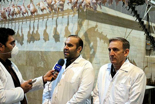  آغاز طرح ارتقاء کیفیت گوشت مرغ در آذربایجان شرقی