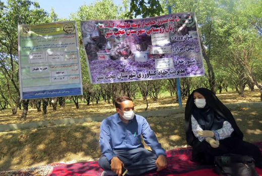 تولید محصول سالم و گواهی ‌شده در شهرستان عجب شیر 