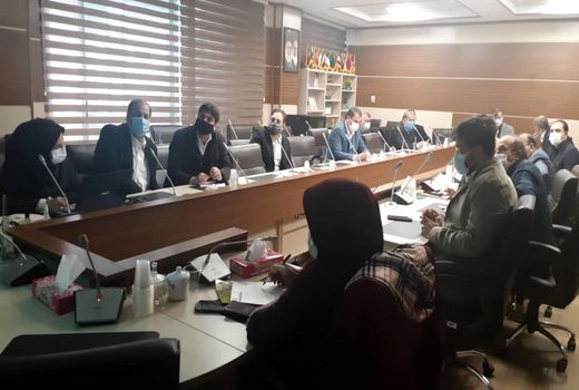 ضرورت رفع موانع و تسهیل صادرات سیب 