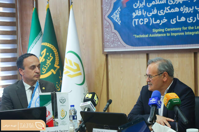 تفاهم‌نامه همکاری برای مدیریت تلفیقی آفات و بیماری‌های خرما امضا شد
