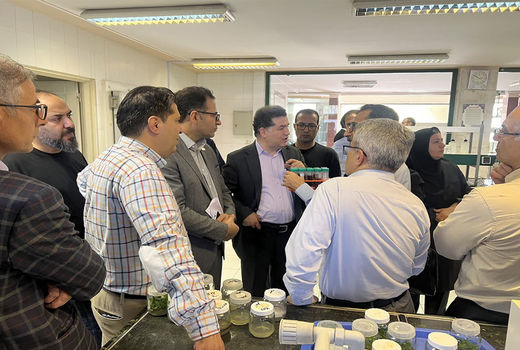 همکاری مشترک و تعامل با دیگر موسسات تحقیقات کشاورزی و دانش‌بنیان اساس کار پژوهشگاه